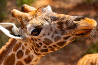 Kenya Adventure - Day 1