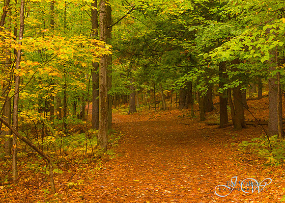 Thorncrag Bird Sanctuary, Lewiston, Maine